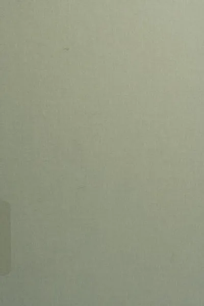 Capa de Reading the allegorical intertext