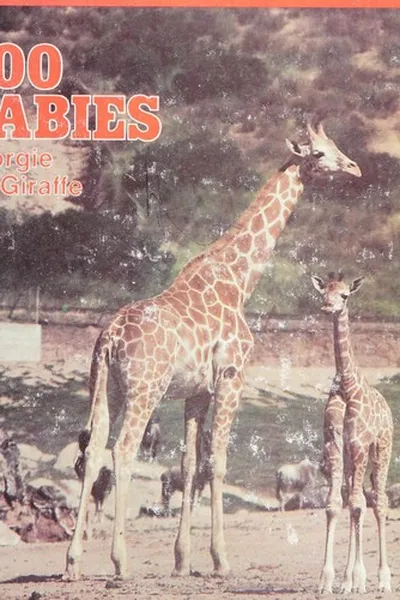 Capa de Georgie the giraffe