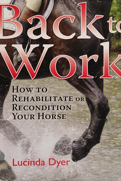 Capa de Back to work