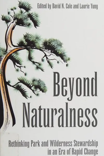 Capa de Beyond naturalness