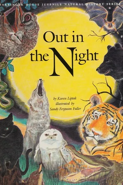 Capa de Out in the night