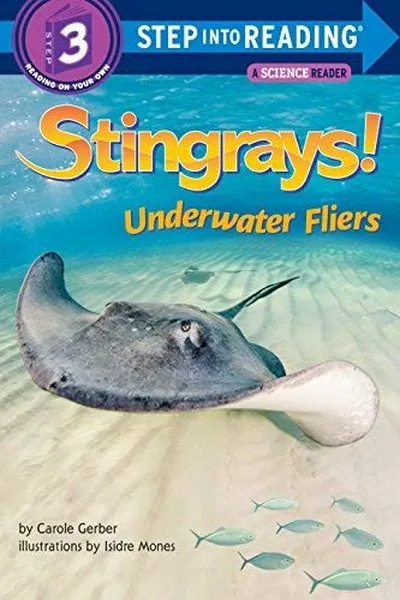 Capa de Stingrays!