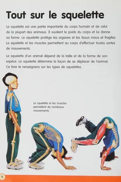 Capa de Le squelette