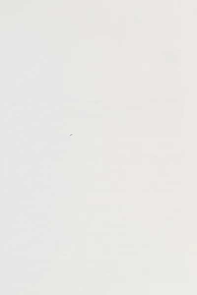 Capa de Shadow hunter