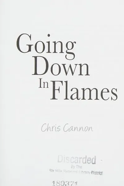 Capa de Going down in Flames