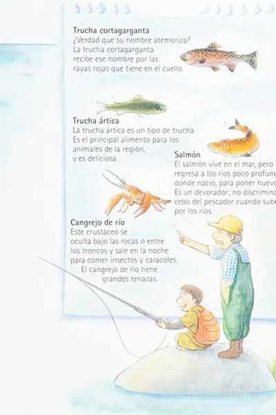 Capa de Mi investigación