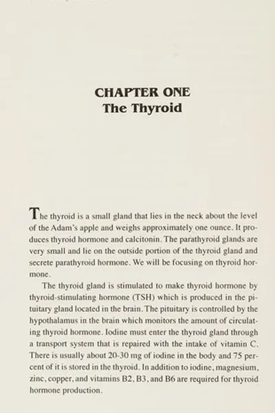Cover of The thyroid alternative