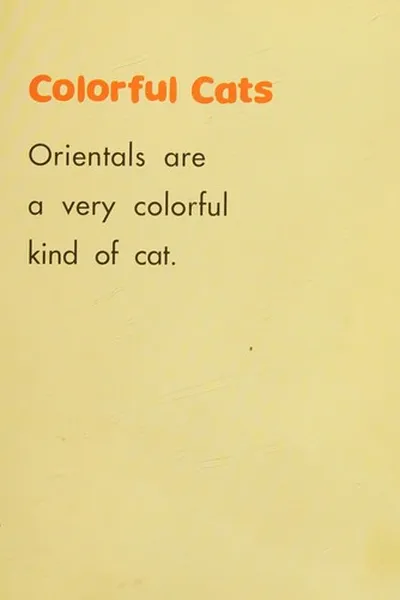 Capa de Oriental cats