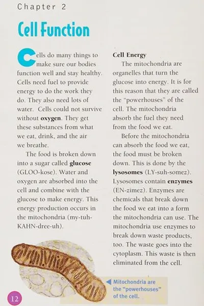 Capa de Body systems