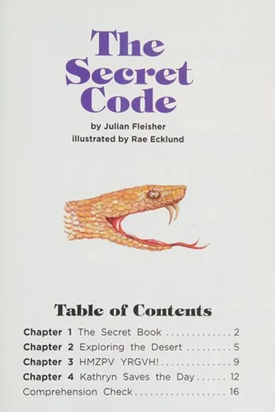 Cover of The Secret code