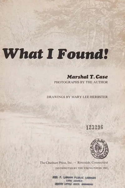 Capa de Look What I Found