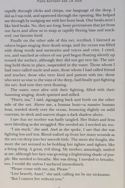 Capa de Dolfin Tayle