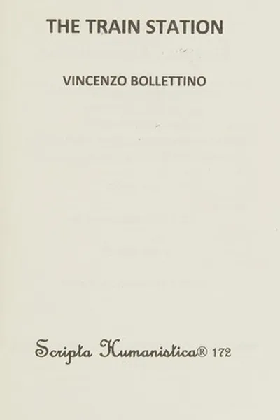 Capa de The train station