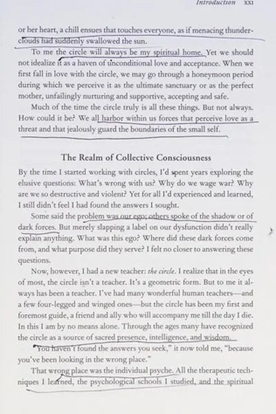 Capa de The sacred ego