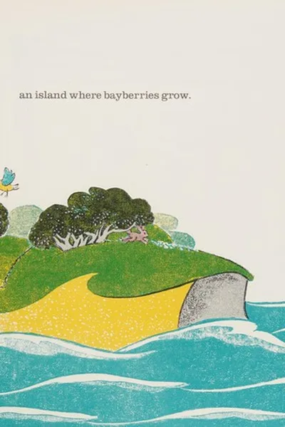 Capa de Bayberry Bluff