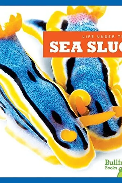 Capa de Sea slugs