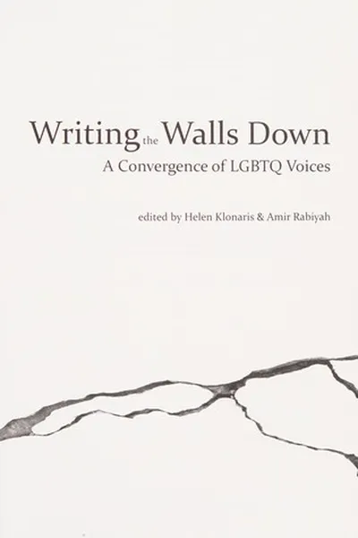 Capa de Writing the walls down