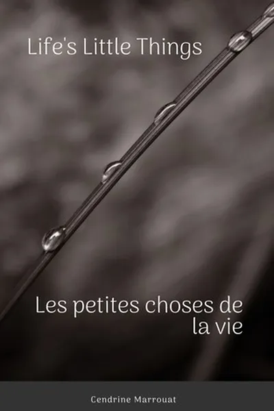 Capa de Life's Little Things