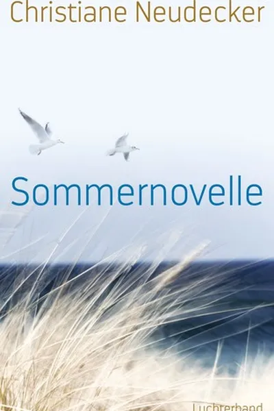 Capa de Sommernovelle