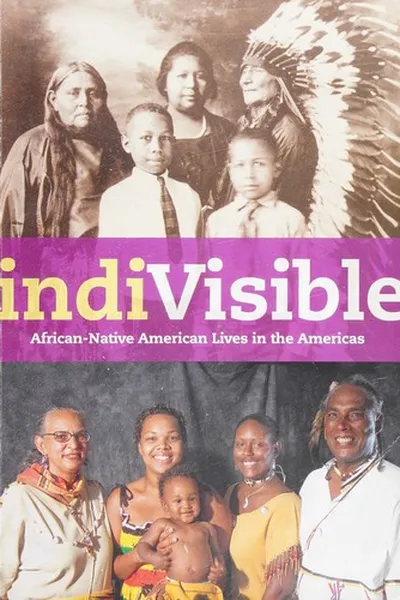 Cover of IndiVisible