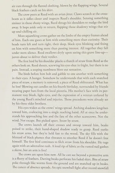 Capa de Shadows within