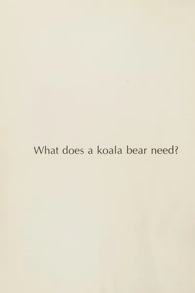 Capa de What does a koala bear need?