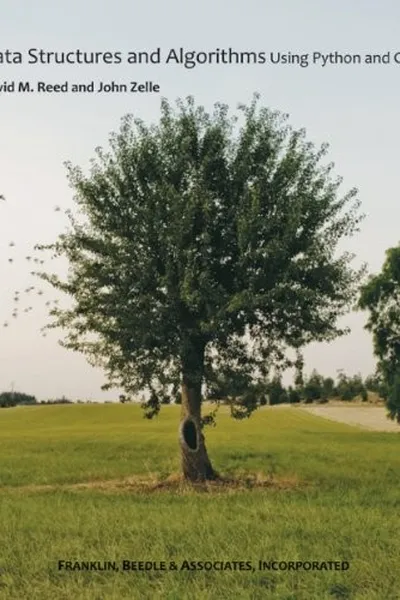 Capa de Data structures and algorithms using Python and C++