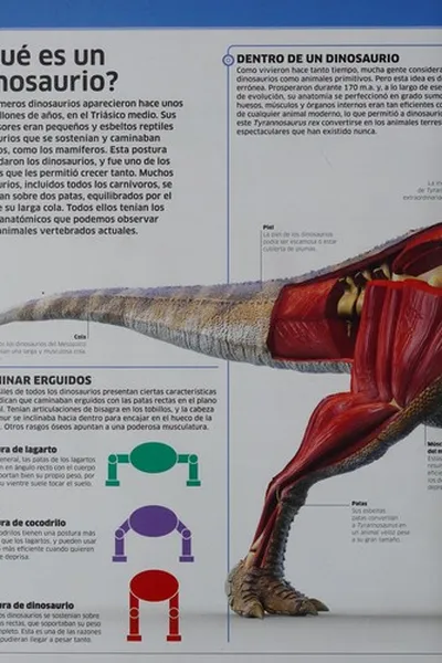 Capa de Dinosaurios