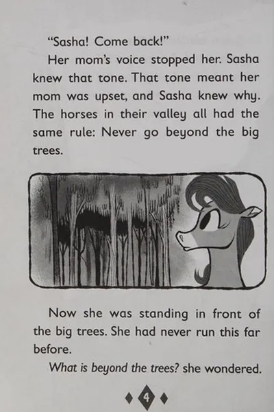 Capa de The big secret