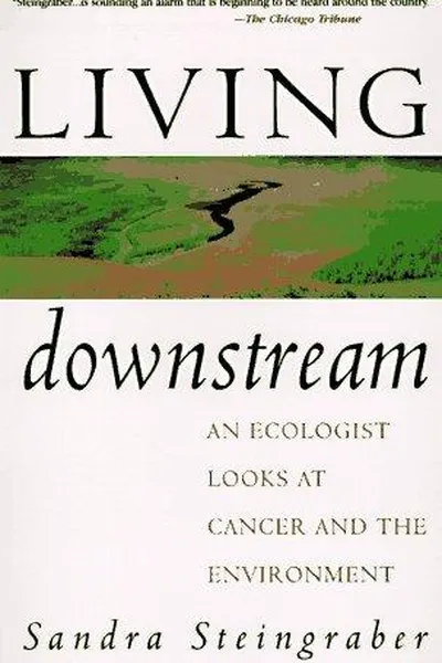 Capa de Living downstream