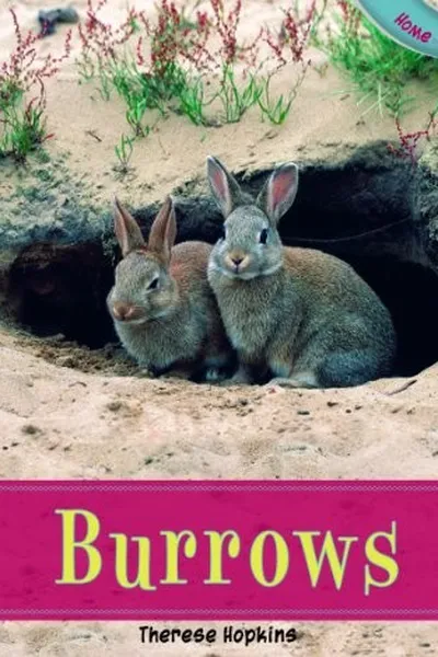 Capa de Burrows