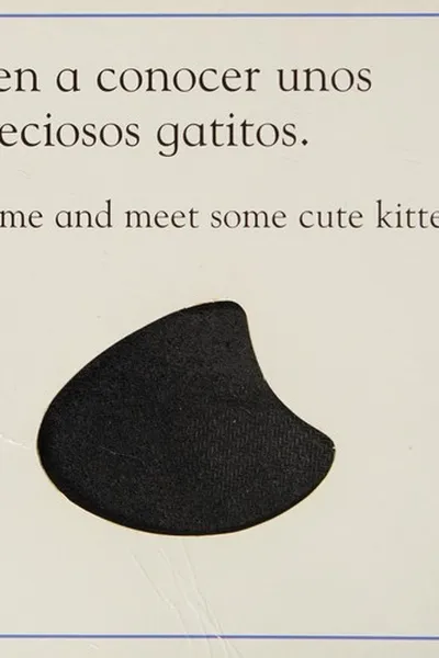 Cover of Gatito =