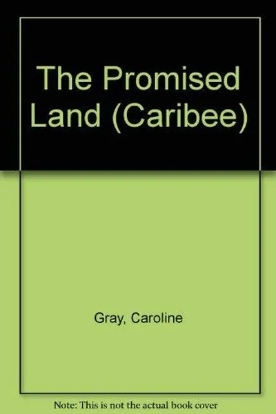 Capa de The Promised Land