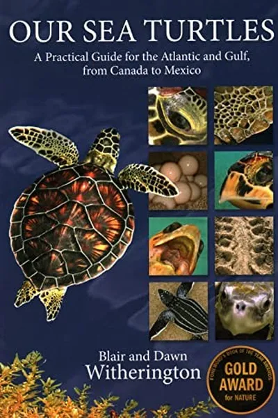 Capa de Our Sea Turtles