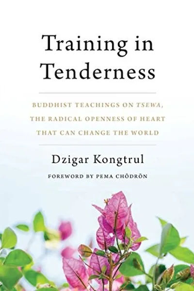 Capa de Training in tenderness