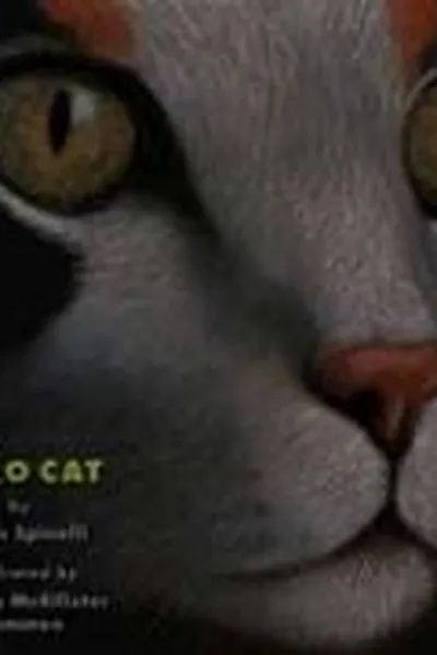 Cover of Hero Cat