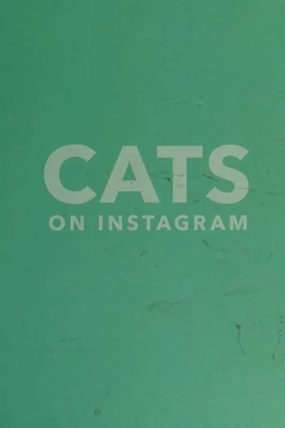 Capa de Cats on Instagram