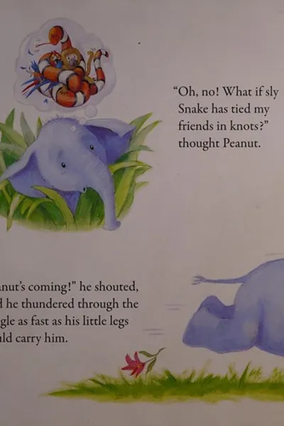 Capa de The very noisy jungle