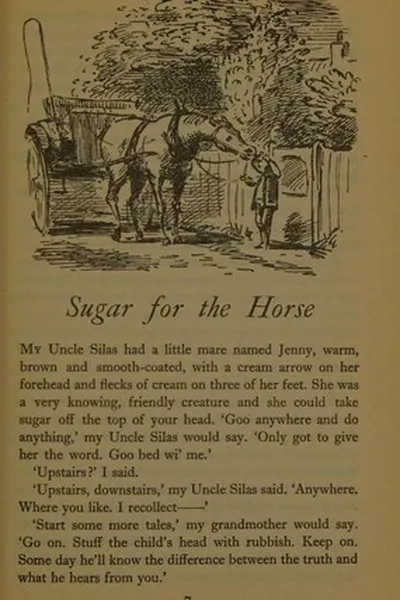 Capa de Sugar for the horse