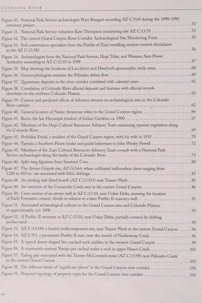 Cover of Changing river