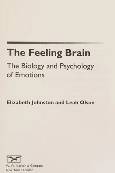 Capa de The feeling brain