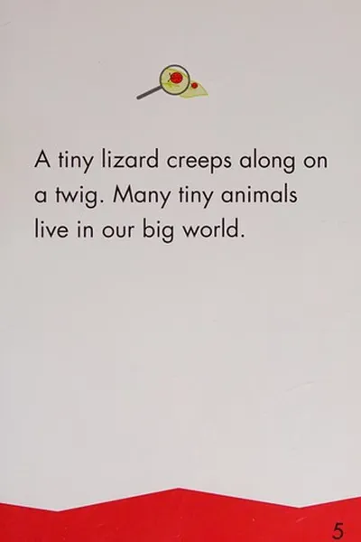 Cover of Tiny animals