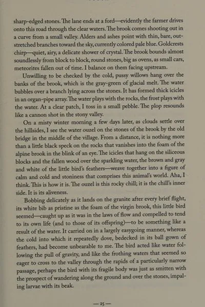 Capa de Matter & desire