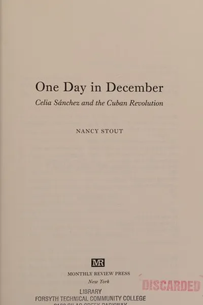Capa de One day in December
