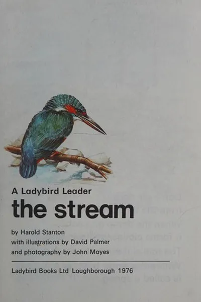Cover of The Stream