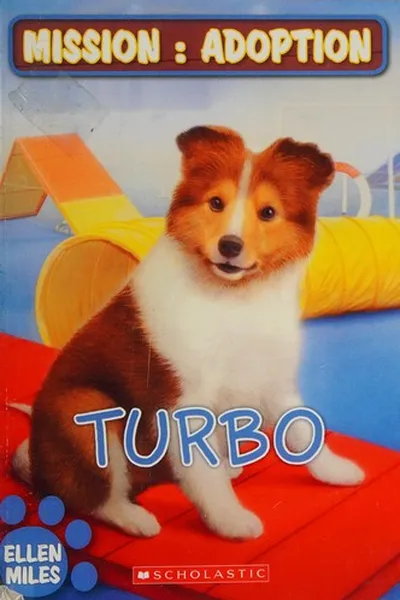 Capa de Turbo