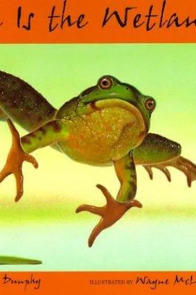 Capa de Here is the wetland