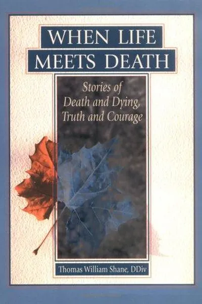 Capa de When life meets death