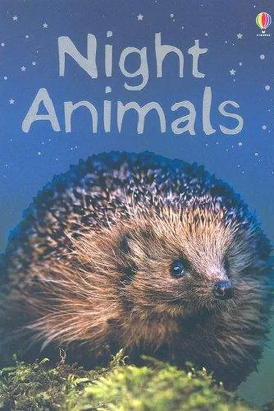 Capa de Night Animals (Beginners Nature)