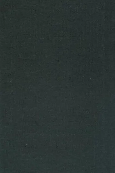 Capa de Everybody belongs